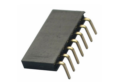 Conector fêmea do encabeçamento da única fileira