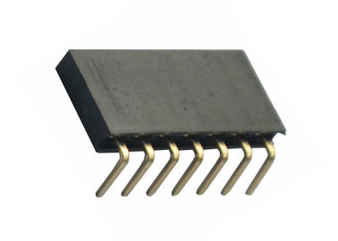 Conector fêmea do encabeçamento da única fileira